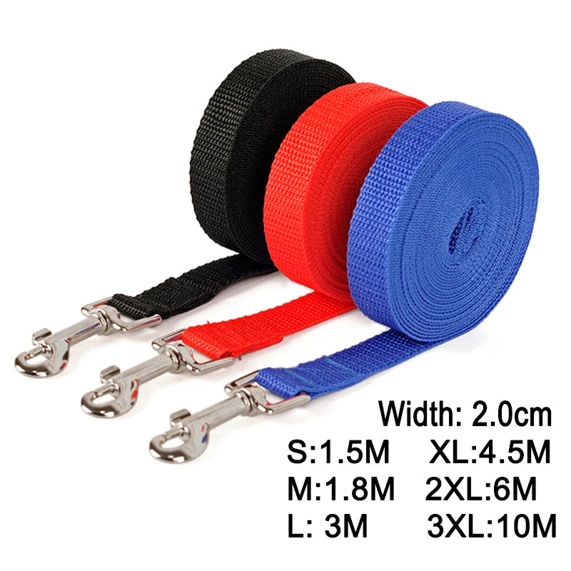 Nylon Dog Training Leash & Collar