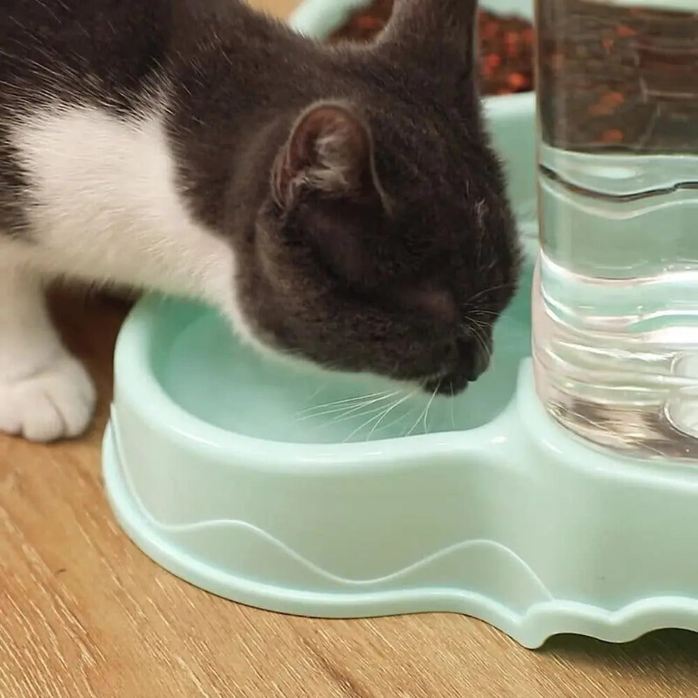 3.8L Automatic Pet Feeder