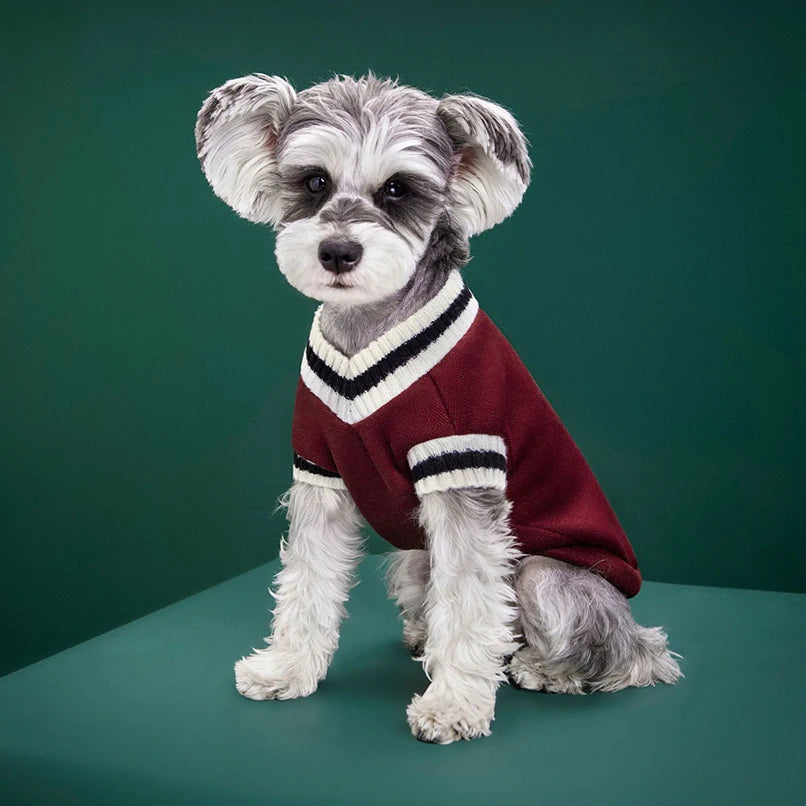College Style Pet Sweater