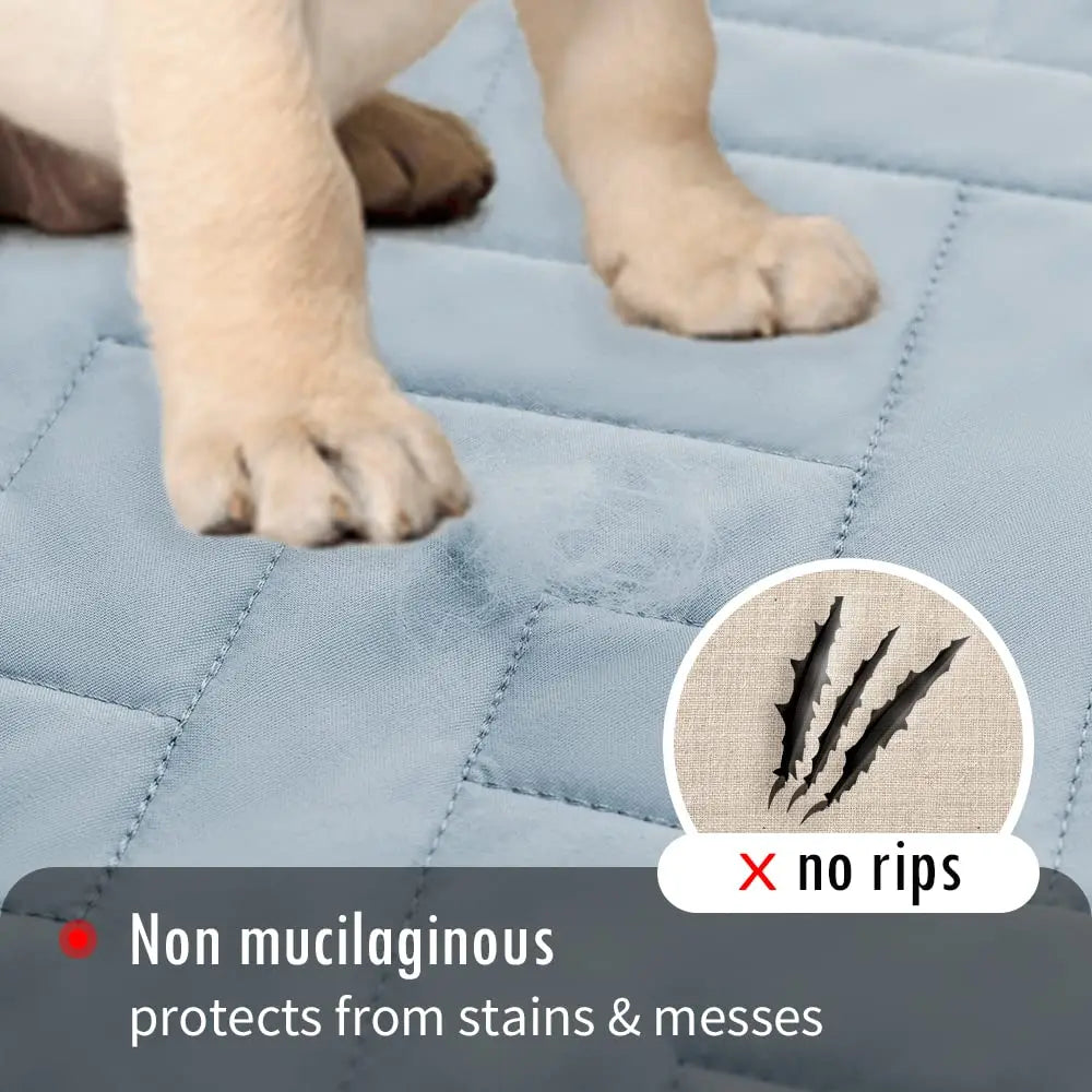 Waterproof Pet Bed & Sofa Cover