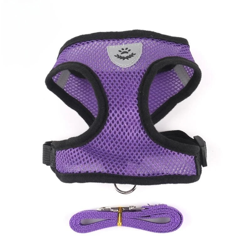 Adjustable Cat & Dog Harness with Leash