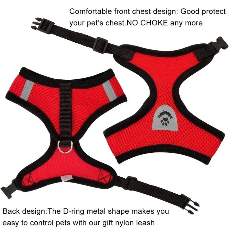Adjustable Cat & Dog Harness with Leash