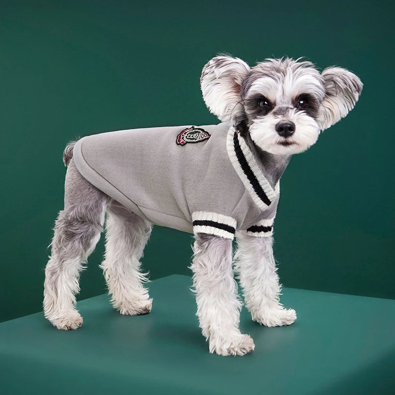 College Style Pet Sweater