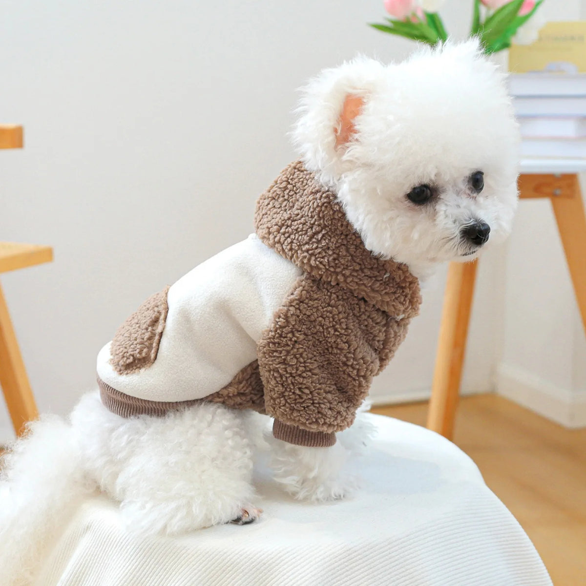 Cozy Winter Hoodie & Vest